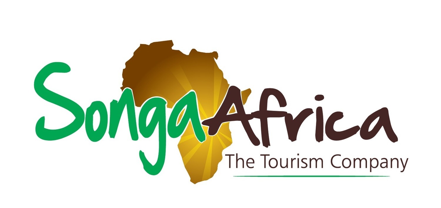 Songa Africa Logo